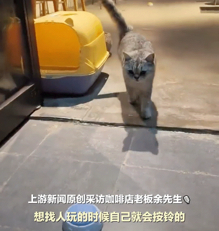 服务员”立马上前喊道二楼贵宾两位麻将胡了2网友路过一家咖啡店“(图2)