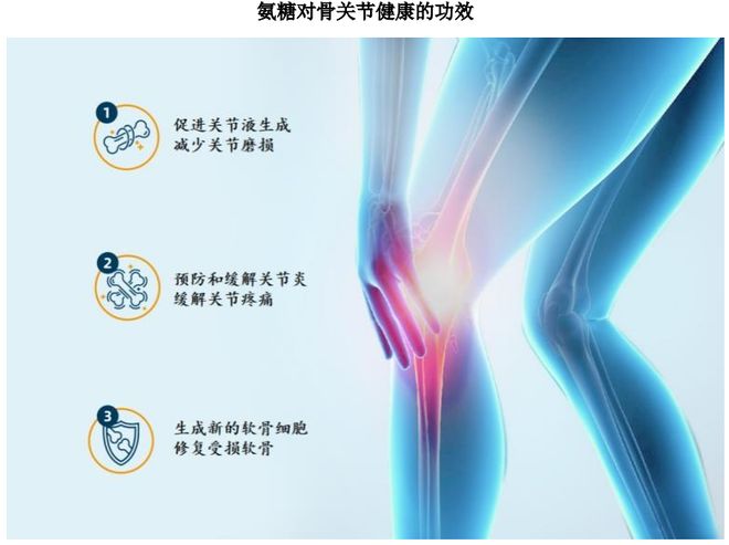 团:扎根运动健康赛道凭多元布局赢长远未来麻将胡了试玩模拟器HMB全球龙头技源集(图8) 团:扎根运动健康赛道凭多元布局赢长远未来麻将胡了试玩模拟器HMB全球龙头技源集(图8)
