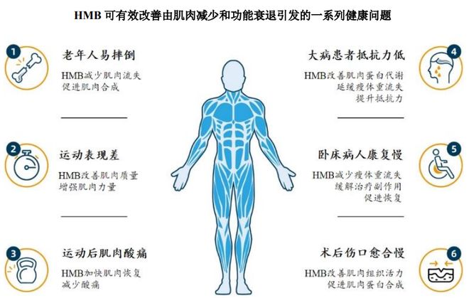 团:扎根运动健康赛道凭多元布局赢长远未来麻将胡了试玩模拟器HMB全球龙头技源集(图9) 团:扎根运动健康赛道凭多元布局赢长远未来麻将胡了试玩模拟器HMB全球龙头技源集(图9)