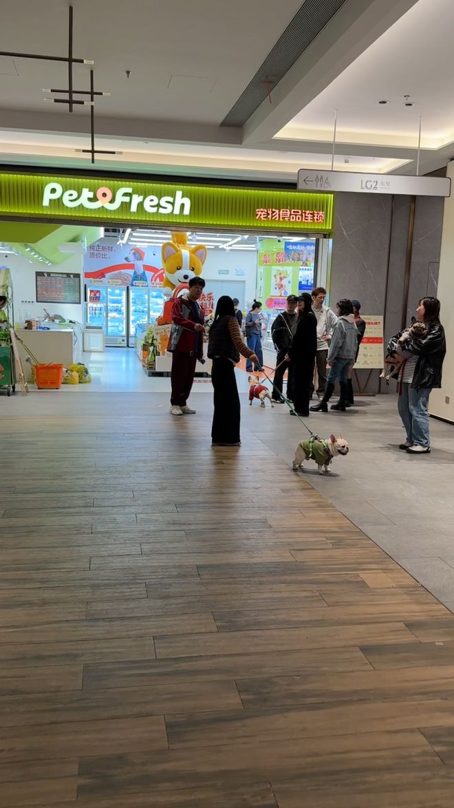 店！曾被质疑“使用冷冻肉”PG麻将胡了连锁品牌接连关(图6)