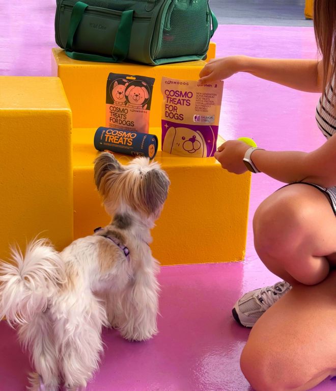 opet宠物零食以昆虫蛋白开辟全新赛道麻将胡了模拟器试玩中俄联合品牌cosm(图2) opet宠物零食以昆虫蛋白开辟全新赛道麻将胡了模拟器试玩中俄联合品牌cosm(图2)