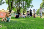 举办休闲大会 助推宠物经济发展PG电子麻